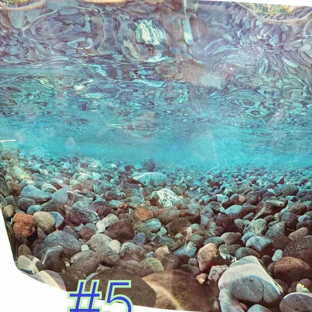 Aquarium/ Reptile Tank Backgrounds Choose your size- Double sided for added fun.